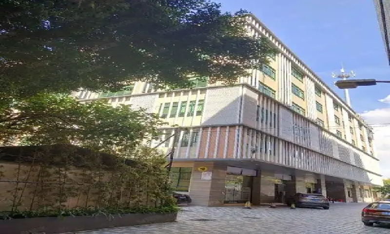 马尚创意园激活旧厂空间价值，打造广佛交界文创产业活力社区